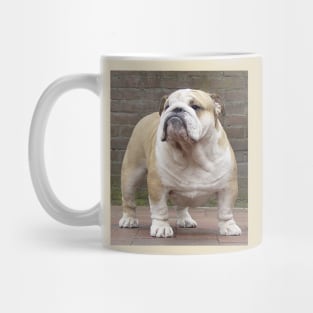 bulldog full third Mug